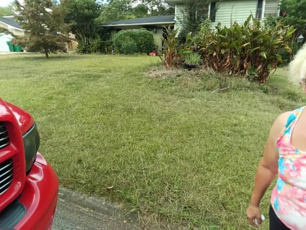 Custom residential landscaping for year-round maintenance in Decatur, GA by We Do It All Lawn Services