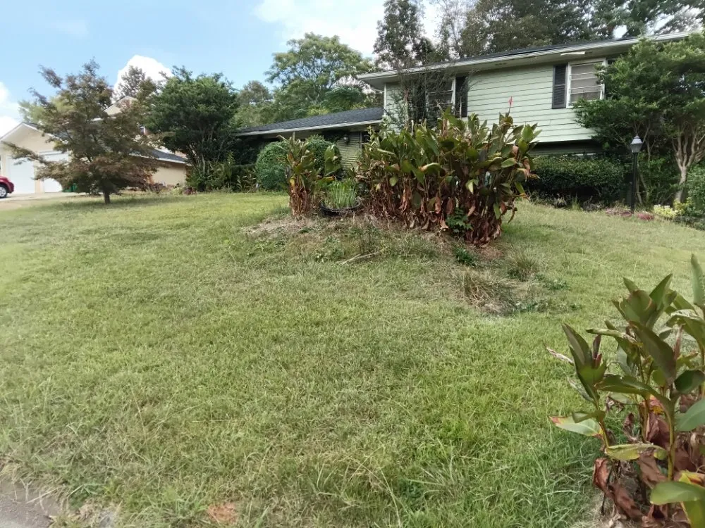 Local lawn care service near you in Decatur, GA by We Do It All Lawn Services