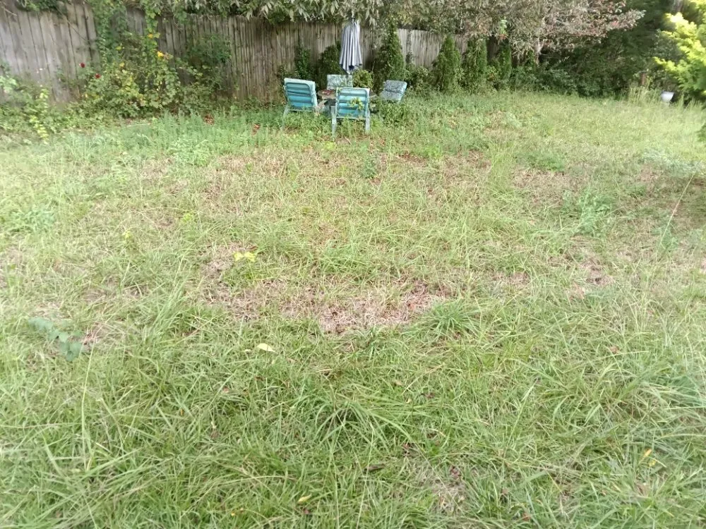 Affordable yard cleanup service for homes across Decatur, GA - We Do It All Lawn Services