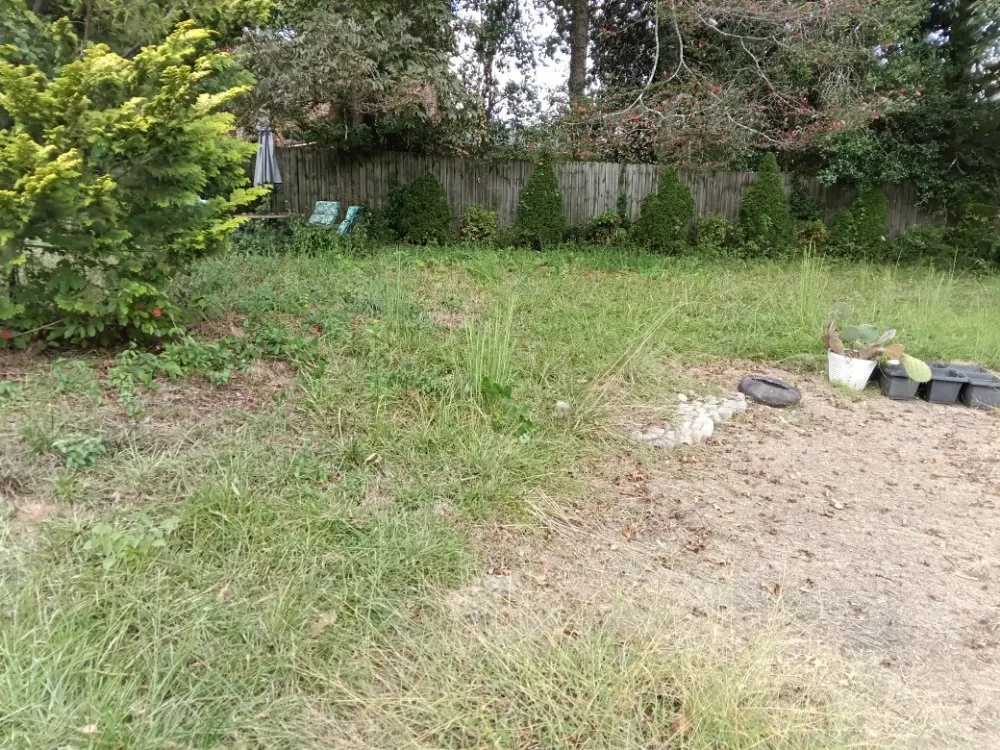 Affordable residential landscaping experts serving Decatur, GA - We Do It All Lawn Services