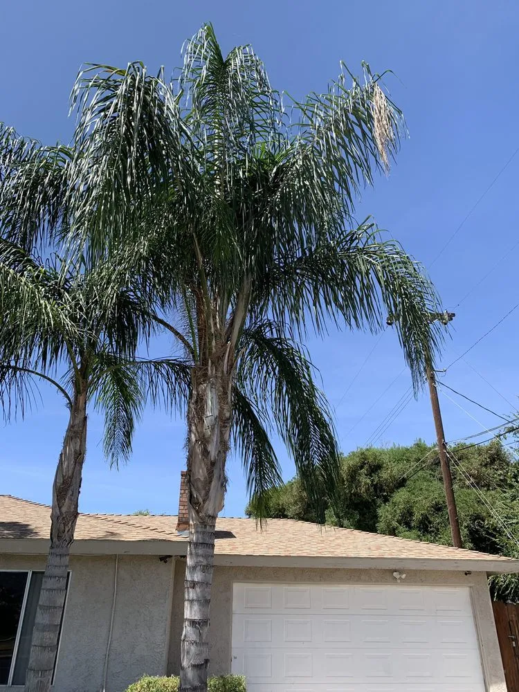 Expert garden landscaping experts serving Madera, CA - We Do It All Tree Service