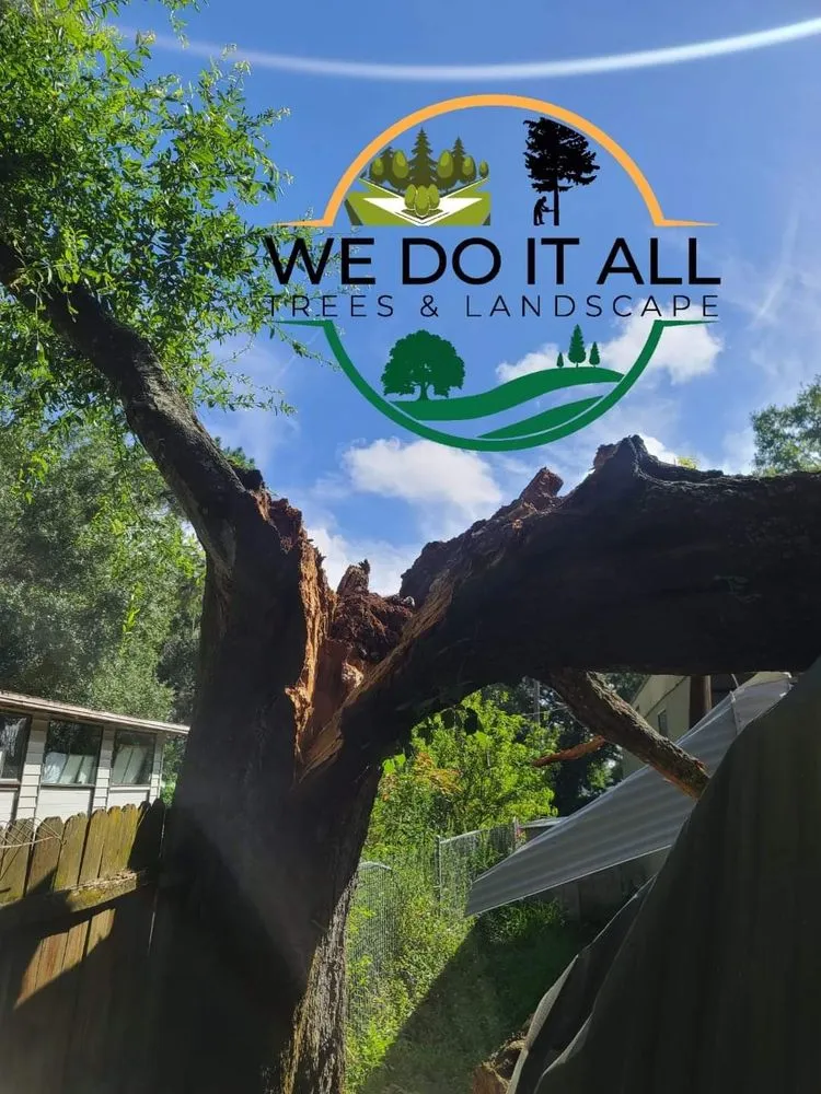 Top-rated residential landscaping for homes in Lakeland, FL by We Do It All Trees & Landscape