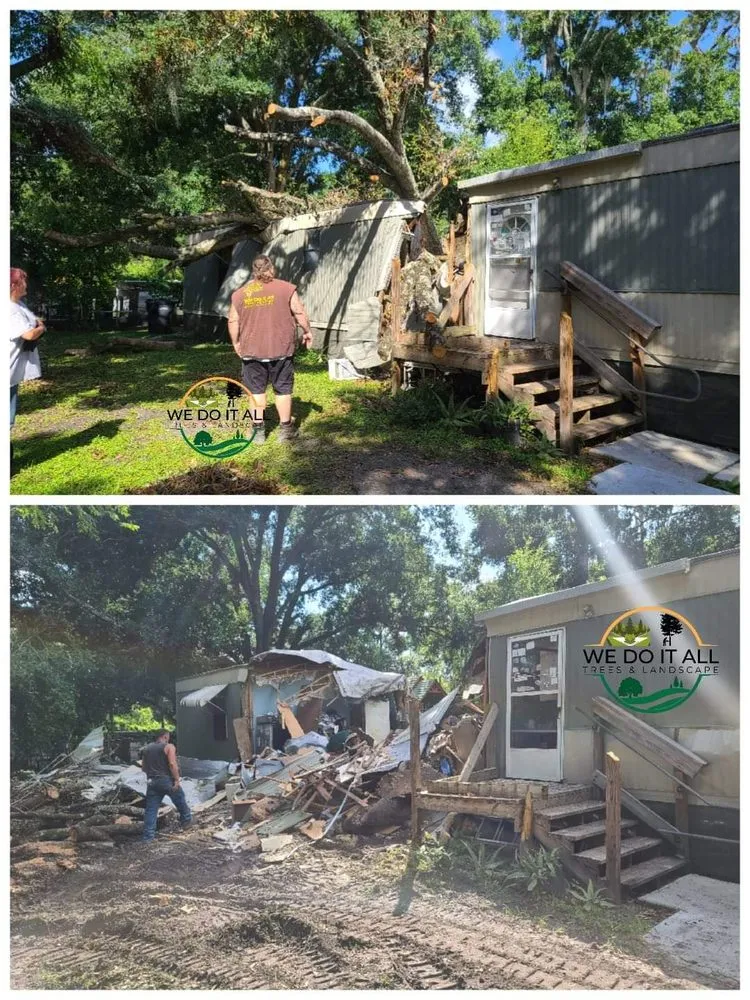 Local residential landscaping experts serving Lakeland, FL - We Do It All Trees & Landscape