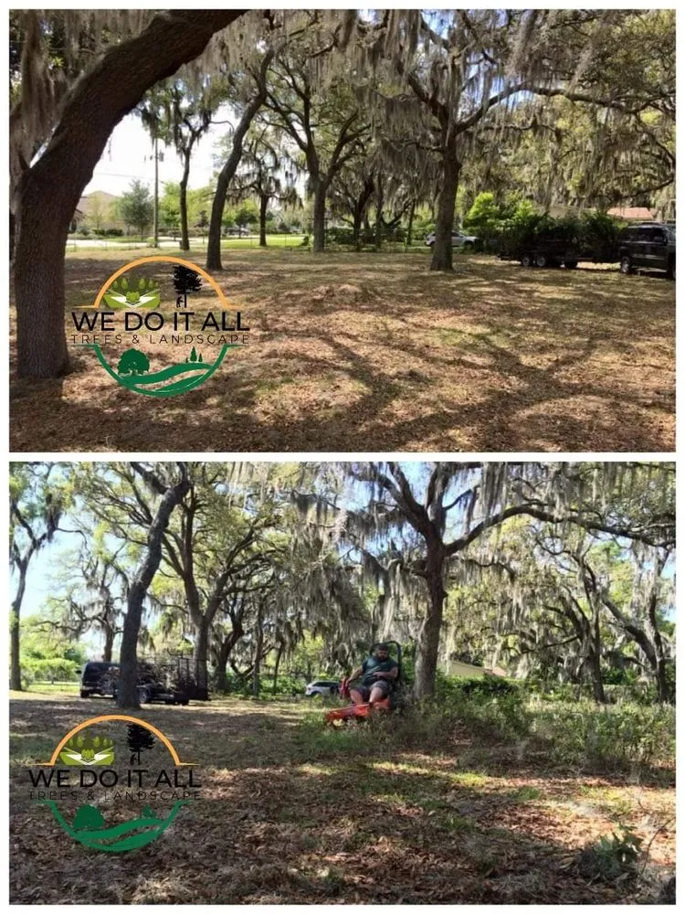 Reliable lawn care service in Lakeland, FL - We Do It All Trees & Landscape