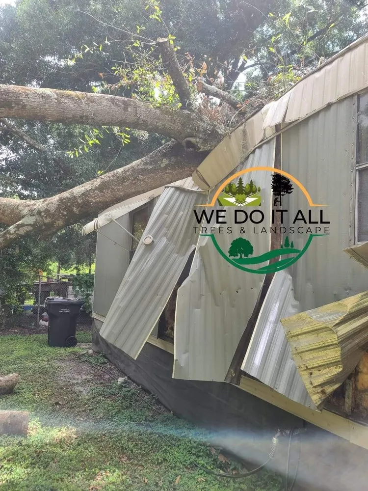 Top-rated landscape design for homes across Lakeland, FL - We Do It All Trees & Landscape