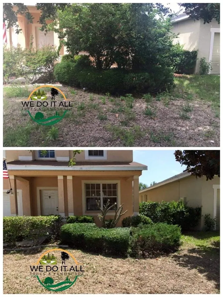 Affordable outdoor landscaping in Lakeland, FL by We Do It All Trees & Landscape