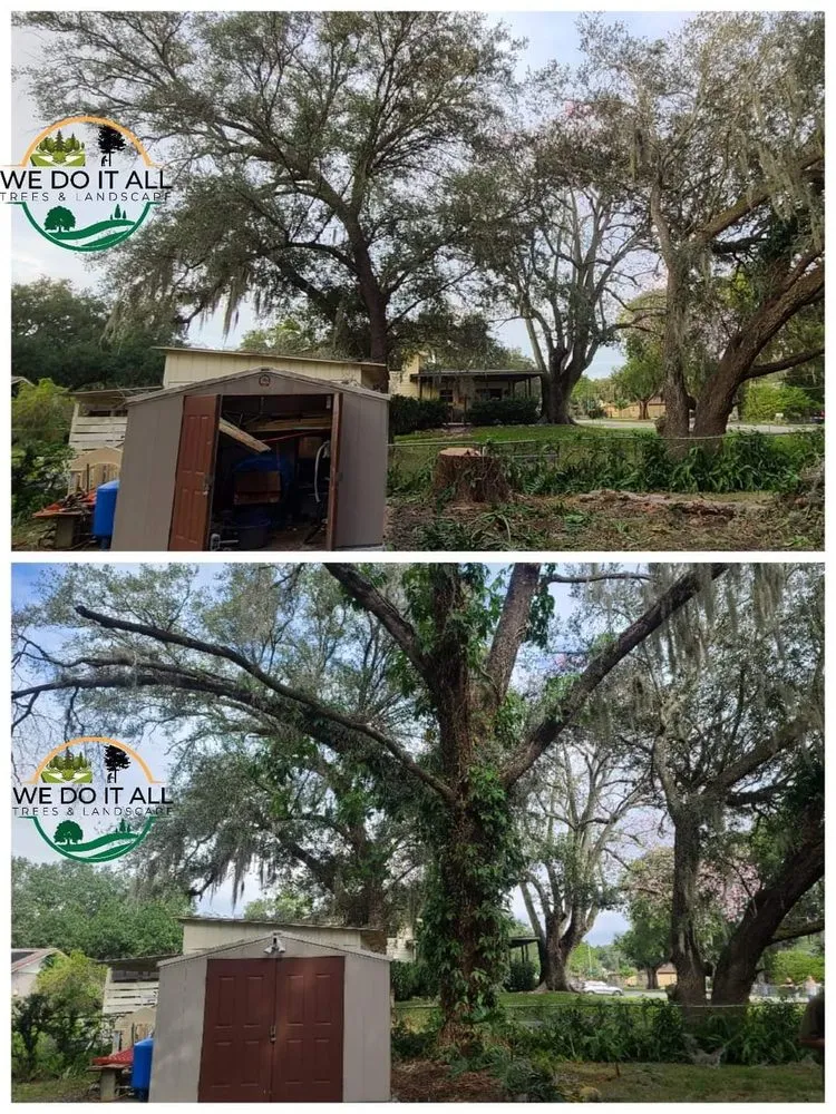 Top-rated garden landscaping in Lakeland, FL by We Do It All Trees & Landscape