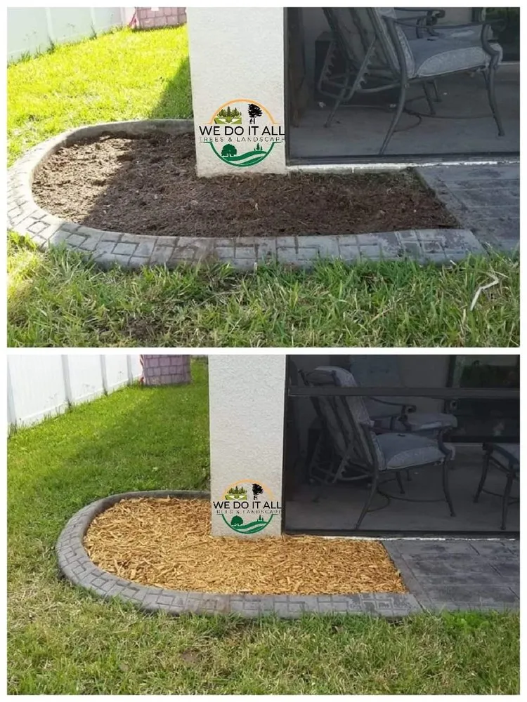 Top-rated lawn care service for year-round maintenance in Lakeland, FL by We Do It All Trees & Landscape