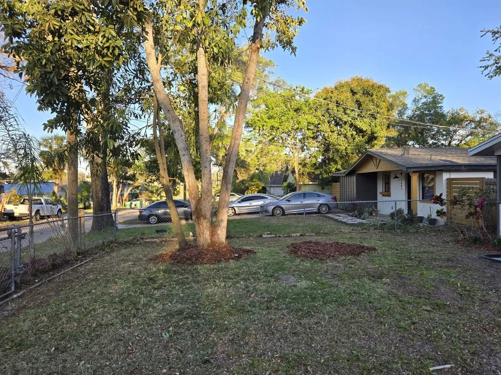 Local yard cleanup service for outdoor upgrades across Lakeland, FL - We Do It All Trees & Landscape