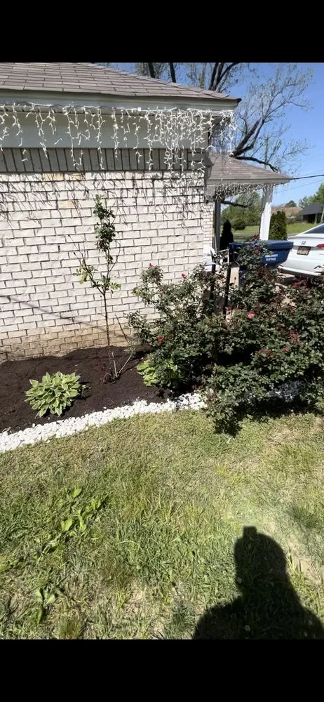 Reliable residential landscaping in Courtland, MS - We Do It