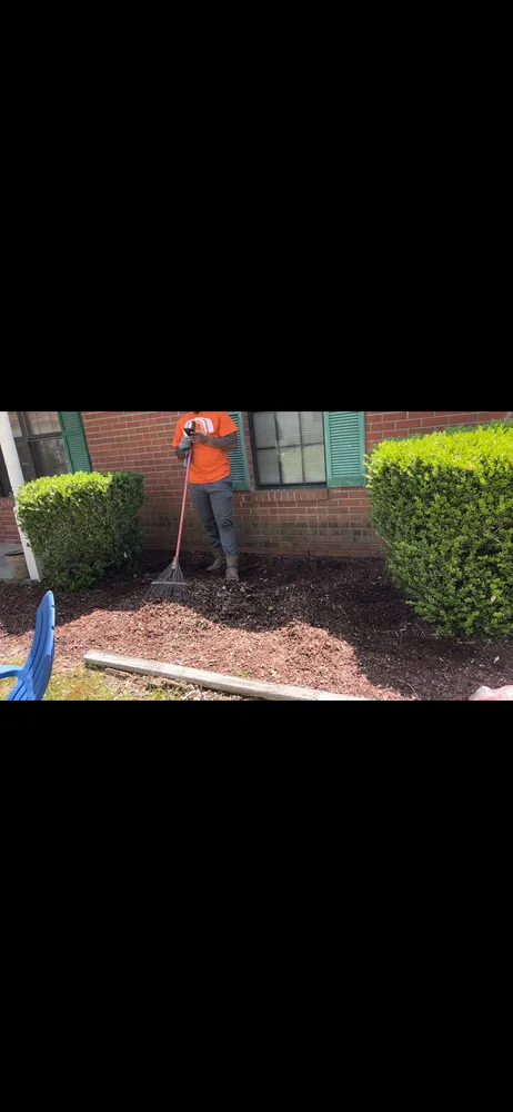 Professional yard cleanup service experts serving Courtland, MS - We Do It