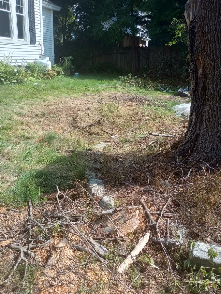 Professional lawn mowing service in Hudson, ME by We Do It Property Care