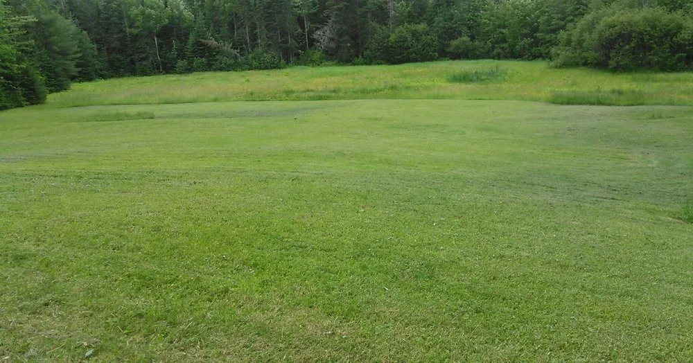 Expert lawn care service for homes in Hudson, ME by We Do It Property Care