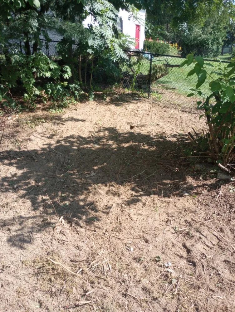 Professional residential landscaping for beautiful yards in Hudson, ME by We Do It Property Care