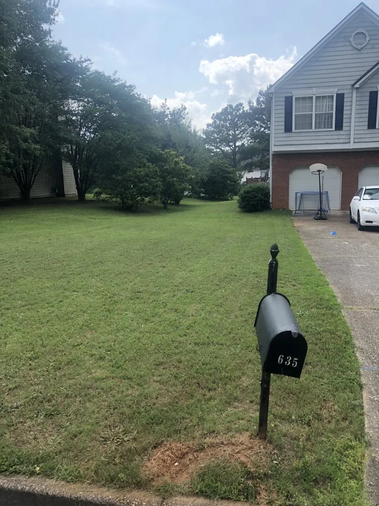 Professional lawn mowing service in Decatur, GA - We Do It The Best Landscaping