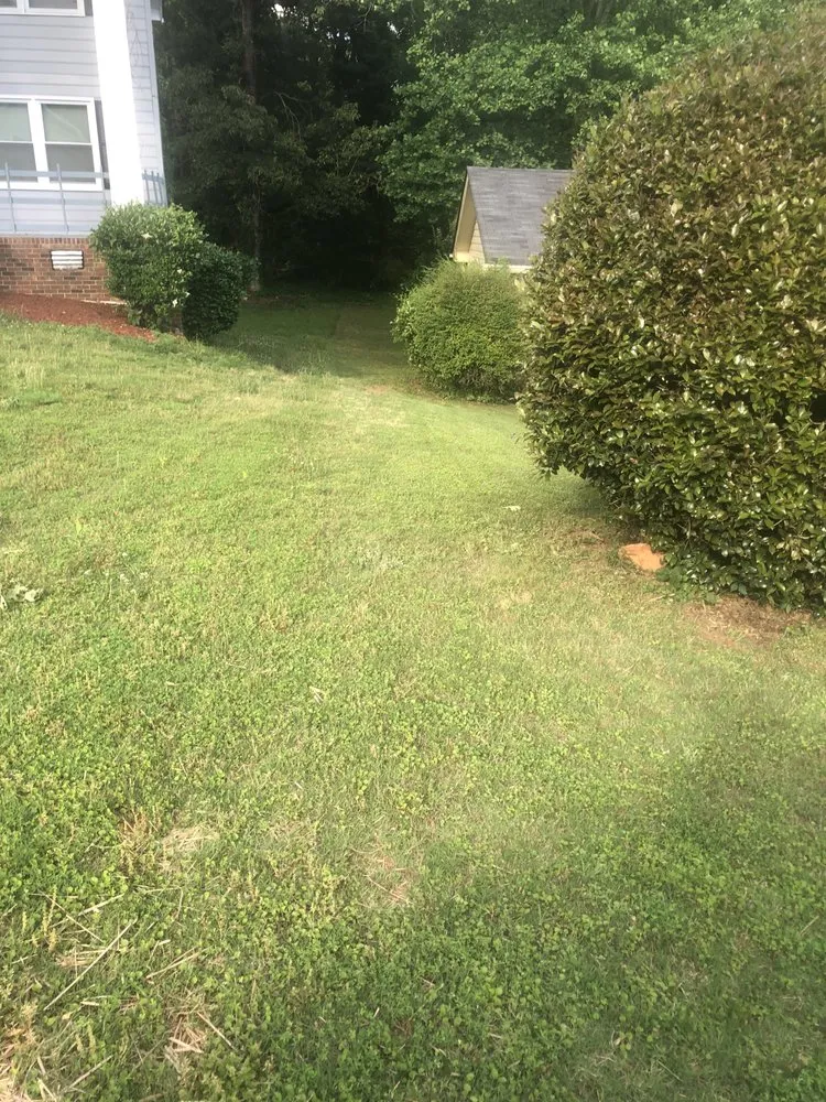 Expert lawn care service for beautiful yards in Decatur, GA by We Do It The Best Landscaping
