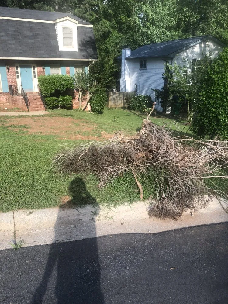 Affordable landscape design in Decatur, GA - We Do It The Best Landscaping