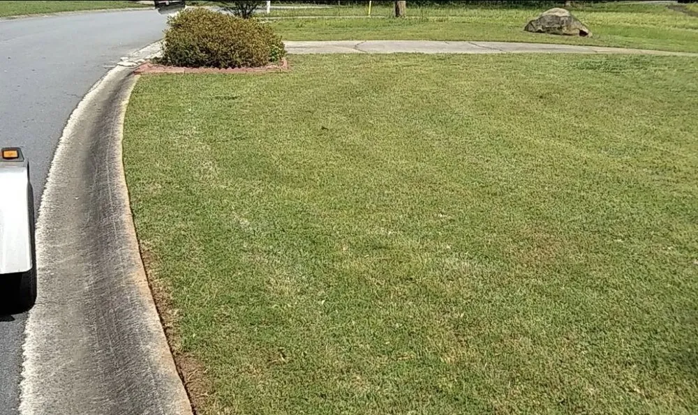 Professional landscape installation for year-round maintenance in Louisville, KY by We Do Landscaping