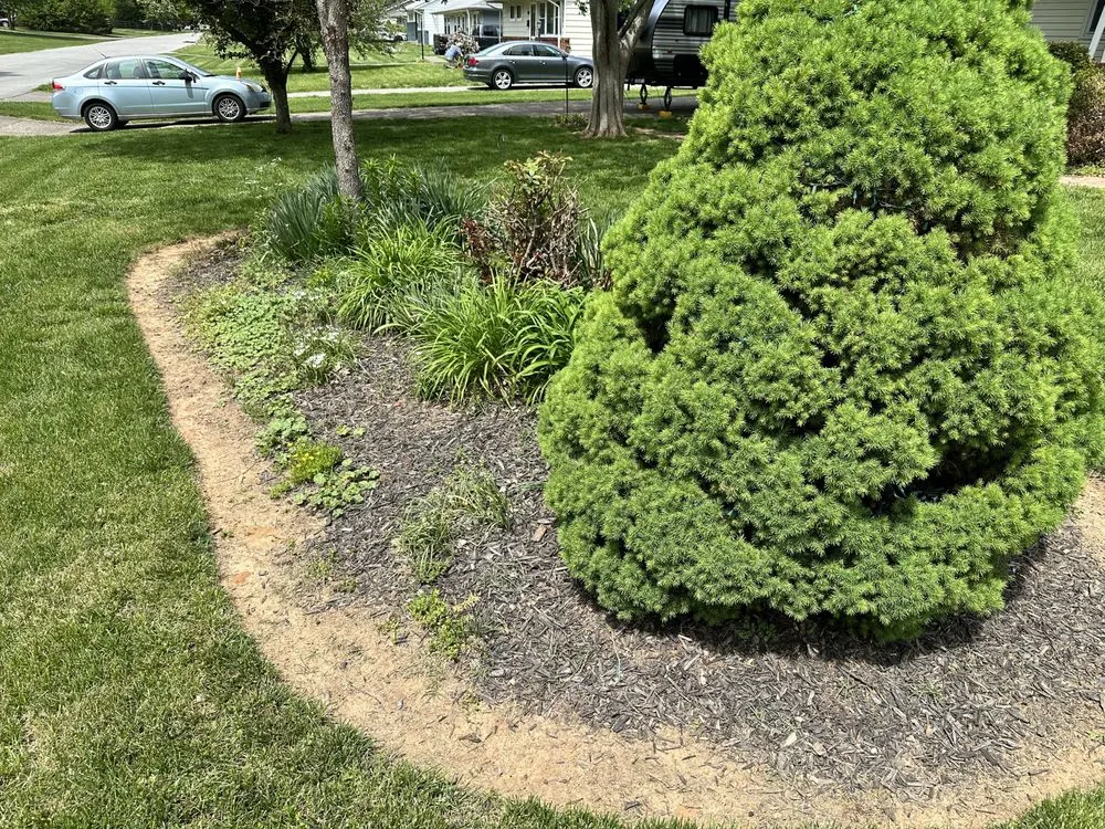 Affordable lawn mowing service experts serving Louisville, KY - We Do Landscaping