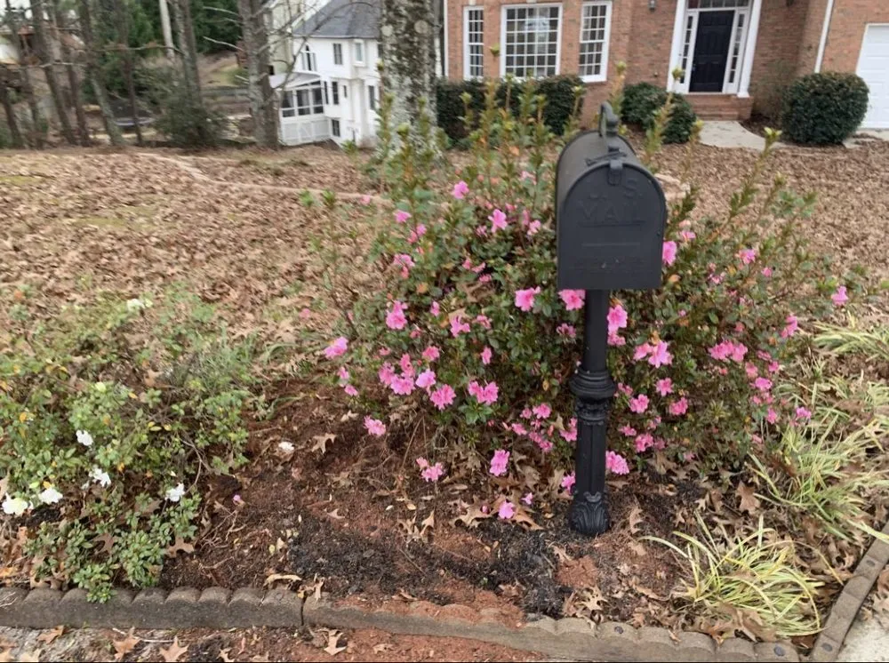 Reliable yard maintenance in Louisville, KY by We Do Landscaping