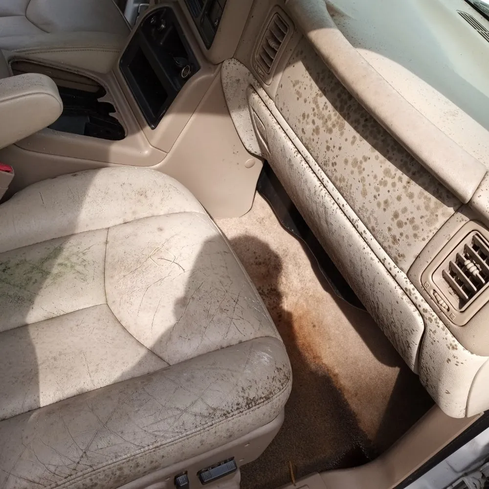 Top-rated landscape installation for beautiful yards in Nashville, TN by We Do That Too