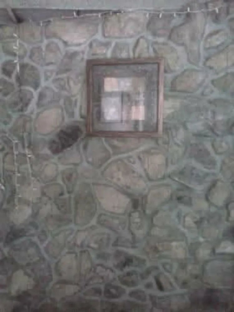 Trusted yard cleanup service in Williamstown, NY by We Fix It