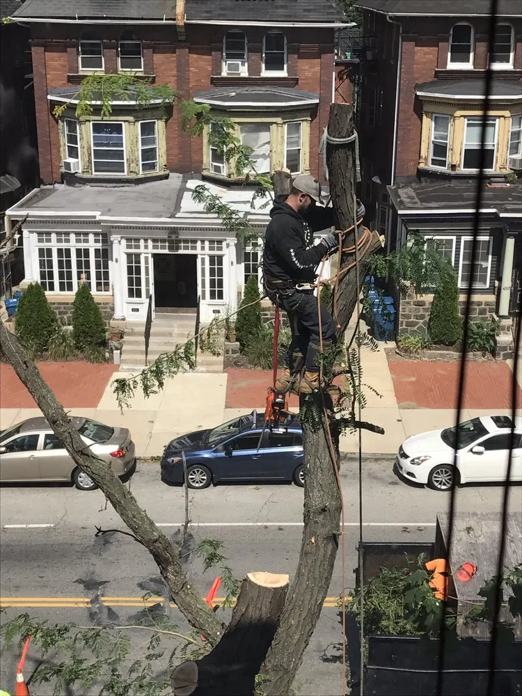 Custom landscape installation for year-round maintenance in Philadelphia, PA by We Get It Done Group