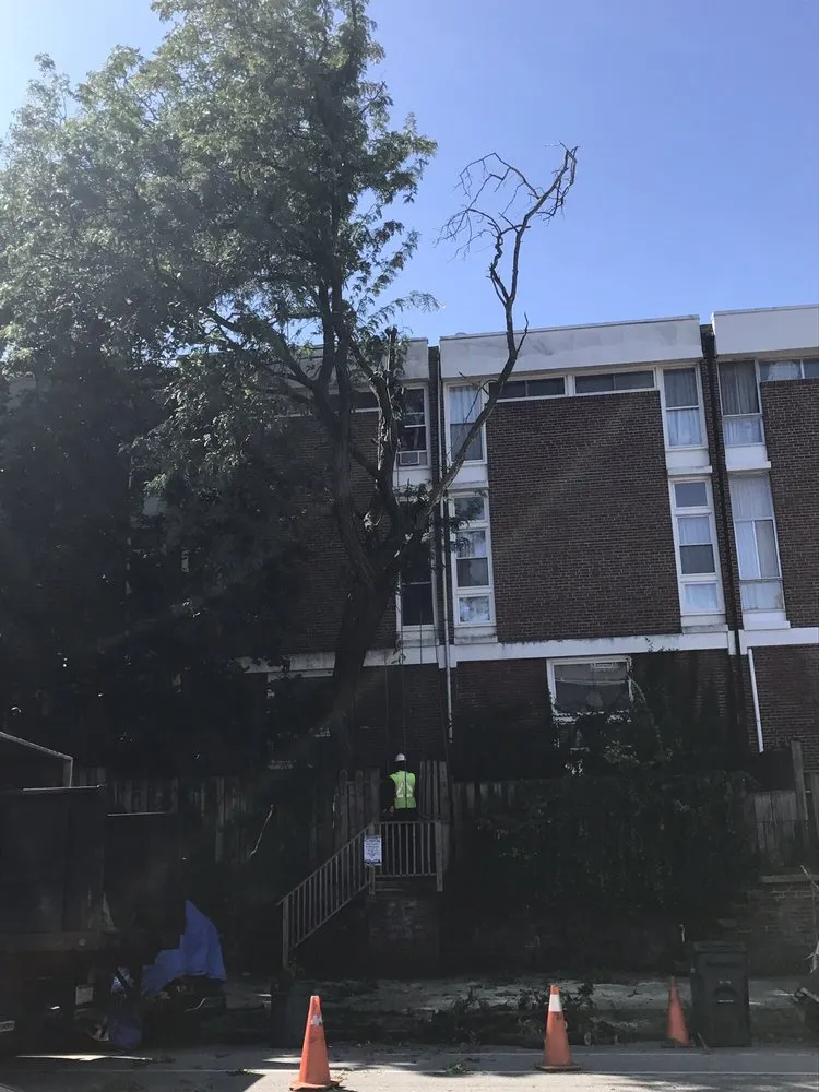 Custom yard cleanup service experts serving Philadelphia, PA - We Get It Done Group