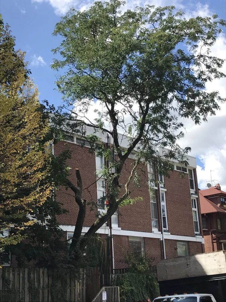 Trusted yard cleanup service in Philadelphia, PA - We Get It Done Group