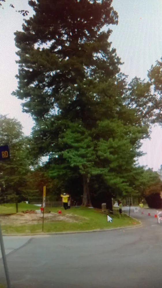 Trusted yard cleanup service in Philadelphia, PA by We Get It Done Group