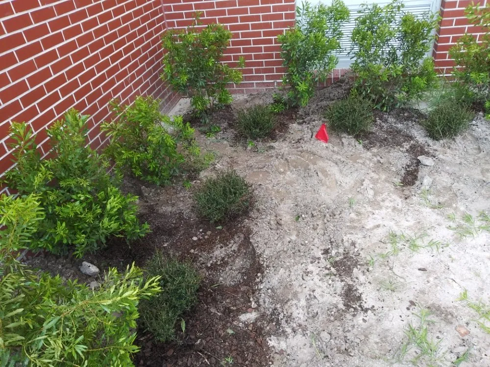 Reliable yard cleanup service for year-round maintenance in Oviedo, FL by We Get The Job Done
