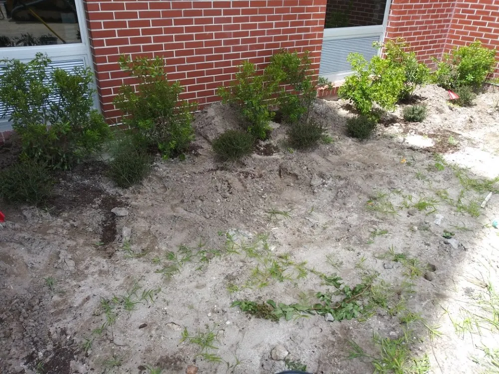 Top-rated lawn mowing service for outdoor upgrades across Oviedo, FL - We Get The Job Done