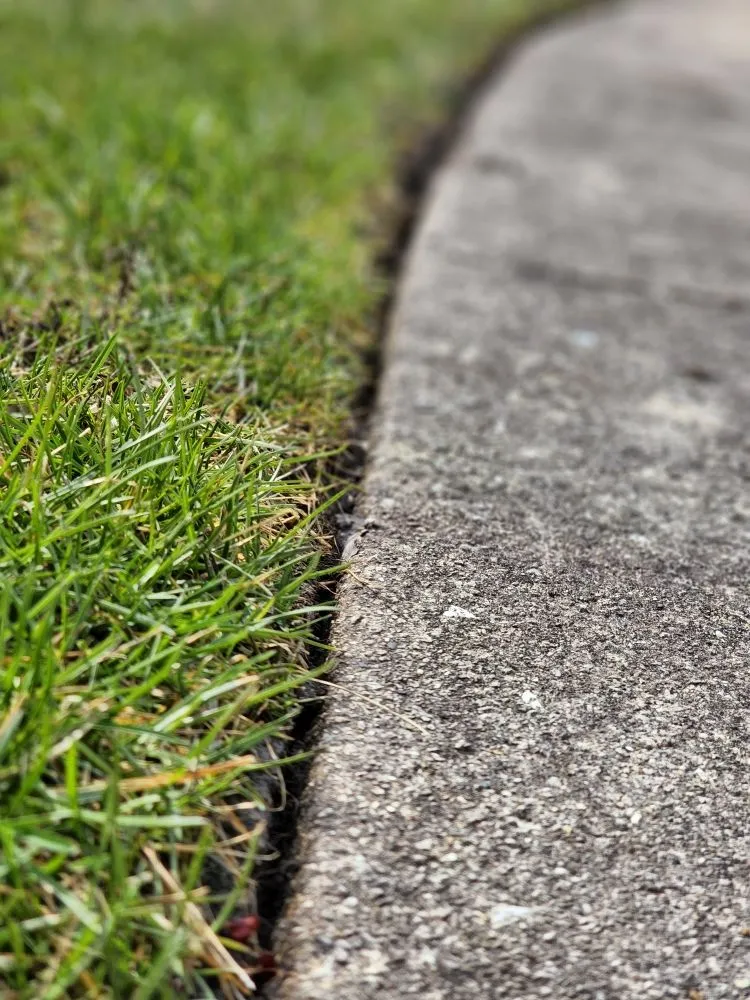 Trusted landscaping services for year-round maintenance in Chicago, IL by We Got It Property Maintenance