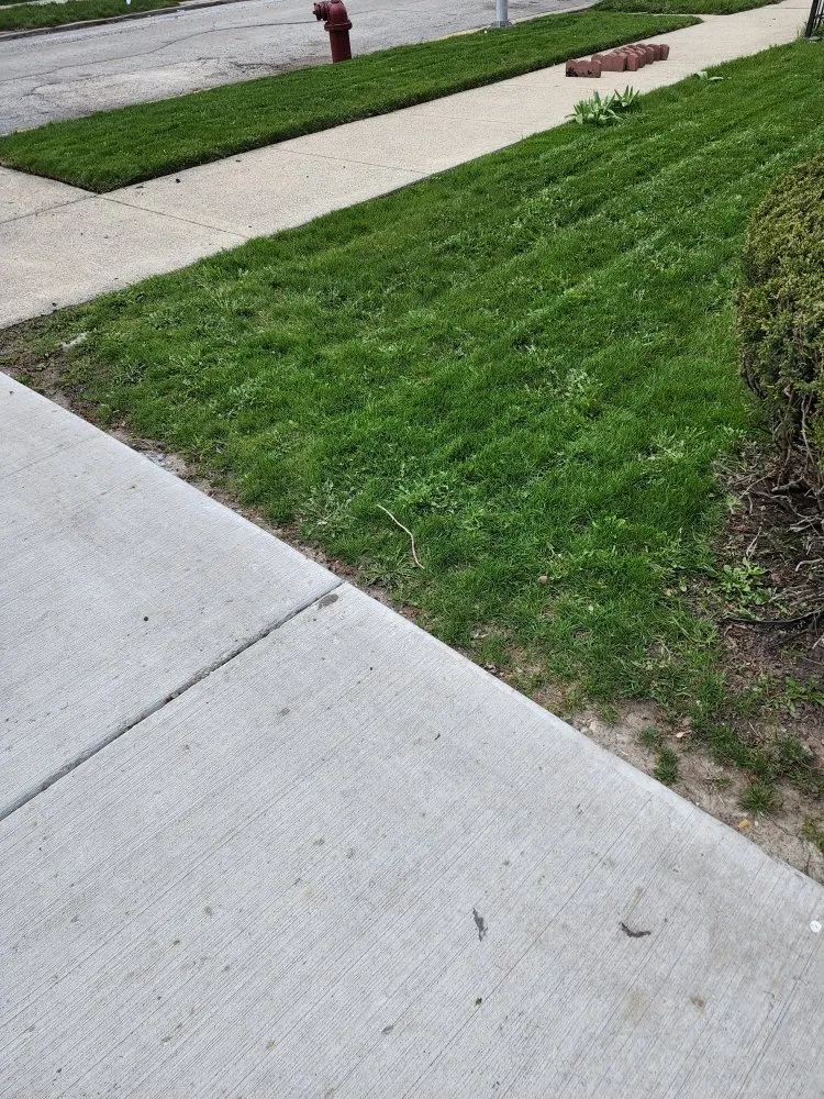 Top-rated outdoor landscaping in Chicago, IL - We Got It Property Maintenance