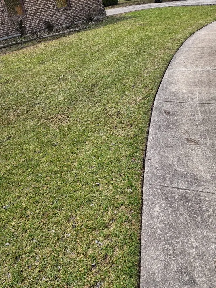 Affordable lawn care service with custom design in Chicago, IL by We Got It Property Maintenance