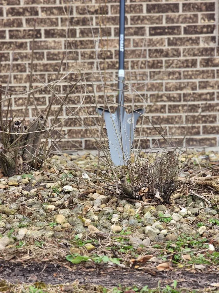 Expert landscape design in Chicago, IL by We Got It Property Maintenance