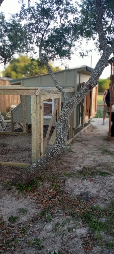 Custom landscape installation for homes across Corpus Christi, TX - We Got This Handyman Service