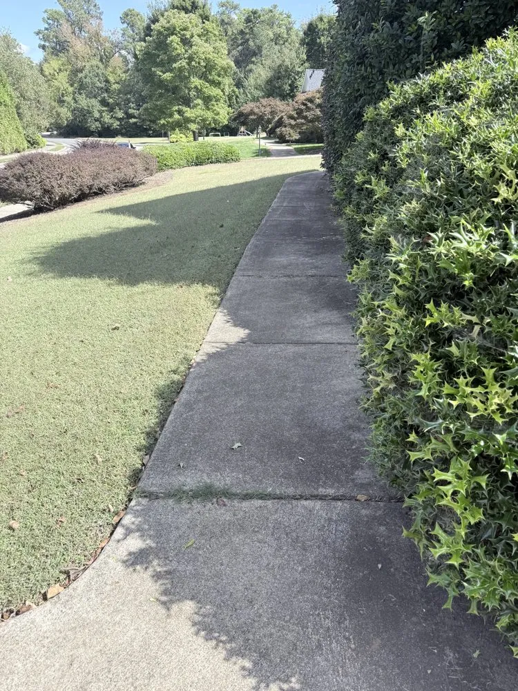 Expert garden landscaping experts serving Carroboro, NC - We Have A Dream