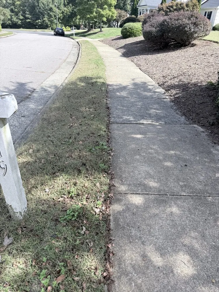 Trusted garden landscaping experts serving Carroboro, NC - We Have A Dream