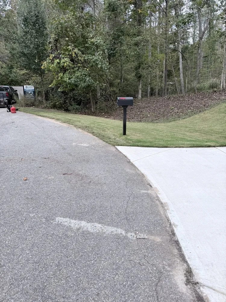 Top-rated lawn care service in Carroboro, NC - We Have A Dream