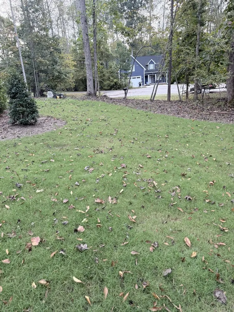 Reliable lawn care service experts serving Carroboro, NC - We Have A Dream