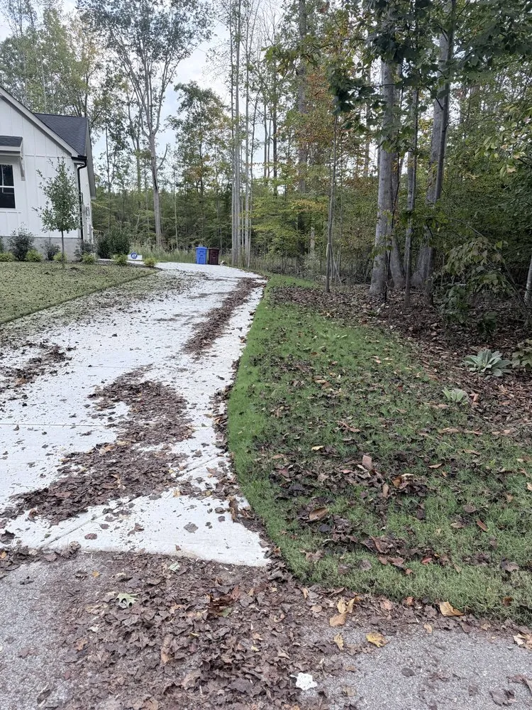 Professional landscape installation for year-round maintenance across Carroboro, NC - We Have A Dream