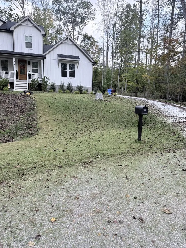 Affordable yard cleanup service experts serving Carroboro, NC - We Have A Dream