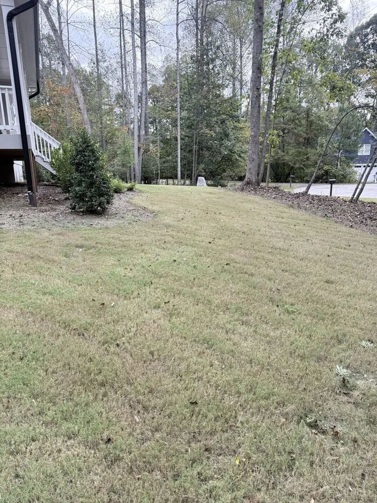 Professional landscape installation with custom design across Carroboro, NC - We Have A Dream