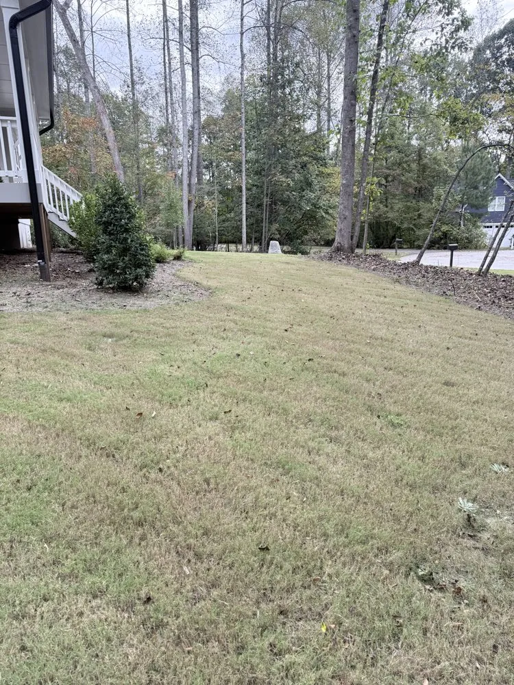 Top-rated landscaping services in Carroboro, NC by We Have A Dream