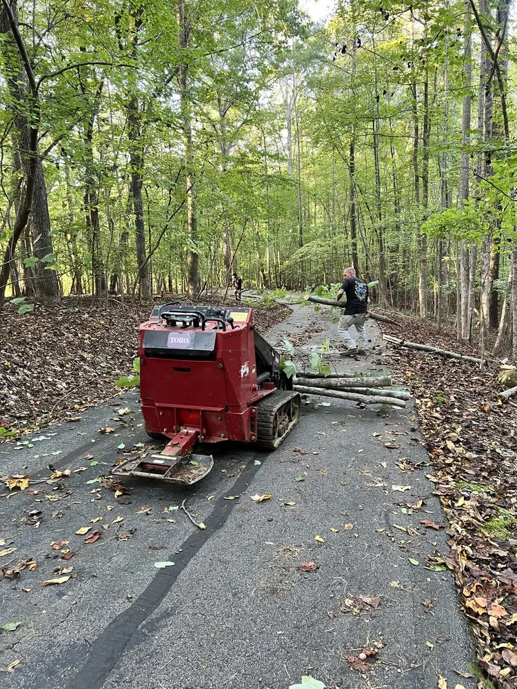 Local residential landscaping in Carroboro, NC - We Have A Dream