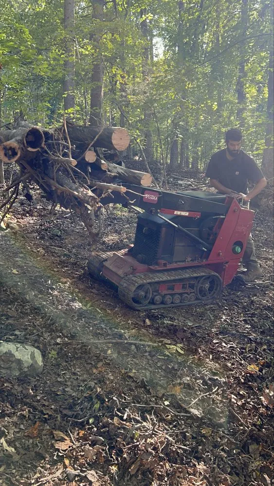 Trusted yard maintenance in Carroboro, NC by We Have A Dream