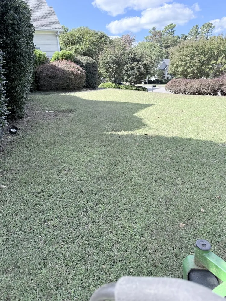 Affordable yard cleanup service experts serving Carroboro, NC - We Have A Dream