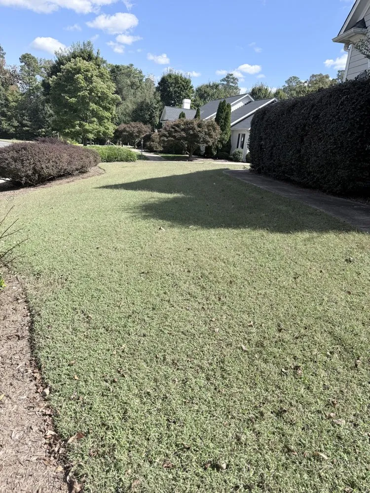 Affordable garden landscaping in Carroboro, NC - We Have A Dream