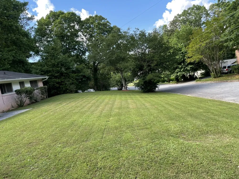 Professional lawn mowing service in Atlanta, GA by We Here Lawn Care